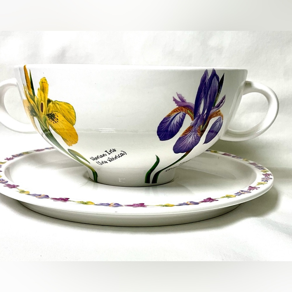 Iris Soup bowl with saucer.Like new.